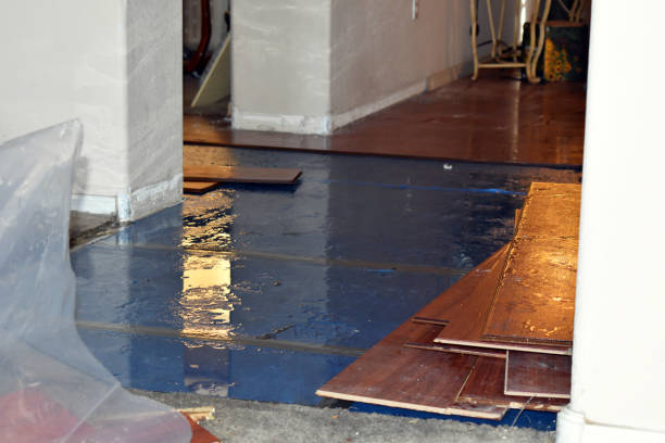 Professional Water Removal technician working in Bretz, WV